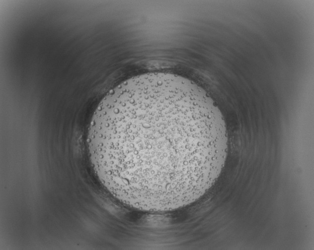 X0000073970327200609111748