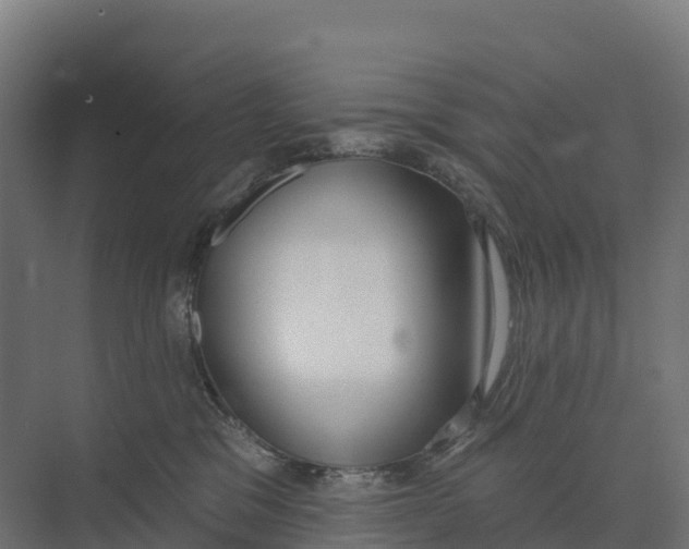 X0000073970329200609111748