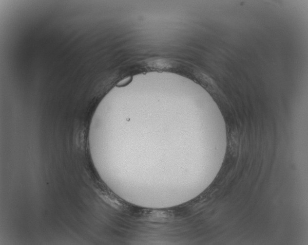 X0000073970330200609111748