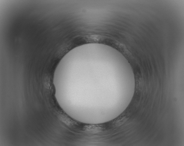 X0000073970331200609111748