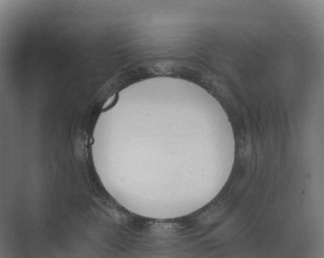 X0000073970332200609111748