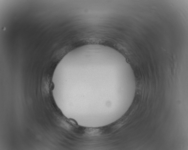 X0000073970334200609111748