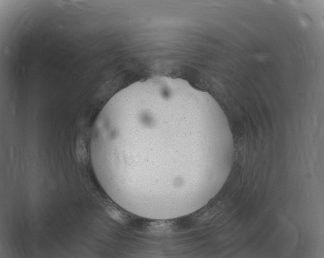 X0000073970335200609111748