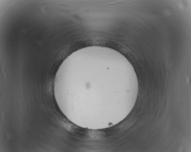 X0000073970336200609111748