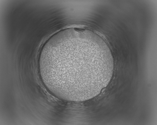 X0000073970337200609111747