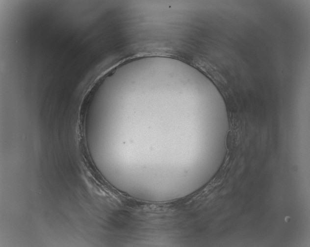 X0000073970338200609111747