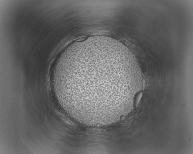 X0000073970339200609111747