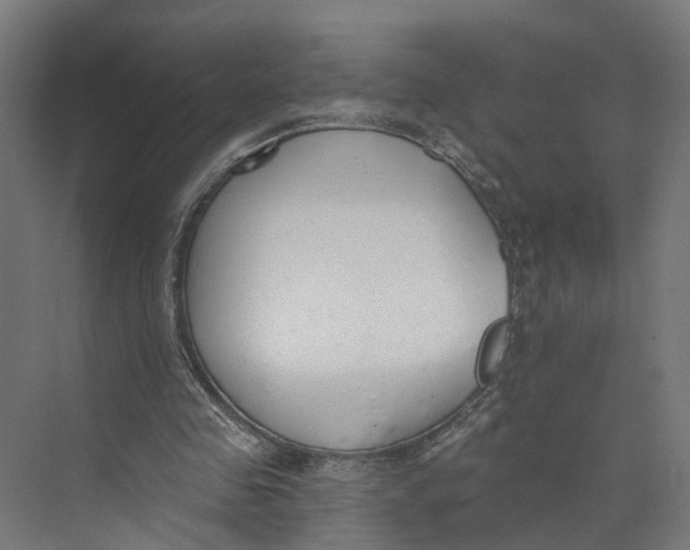 X0000073970341200609111747