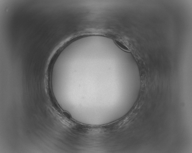 X0000073970342200609111748