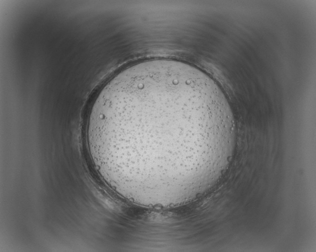 X0000073970346200609111748