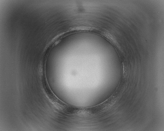 X0000073970348200609111748