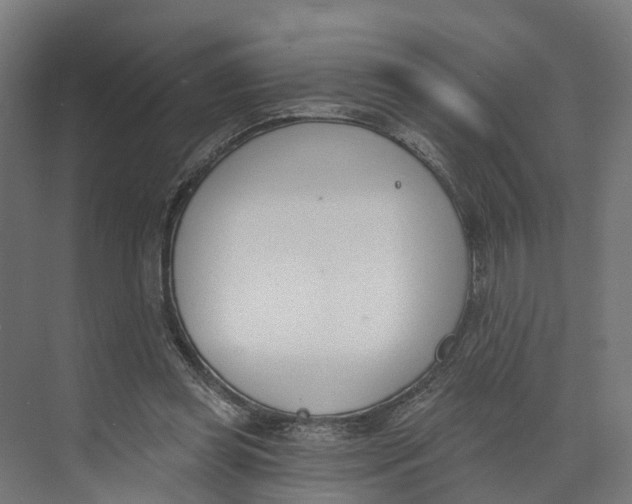 X0000073970349200609111748