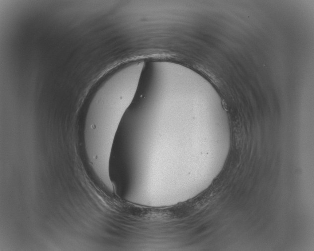 X0000073970350200609111748