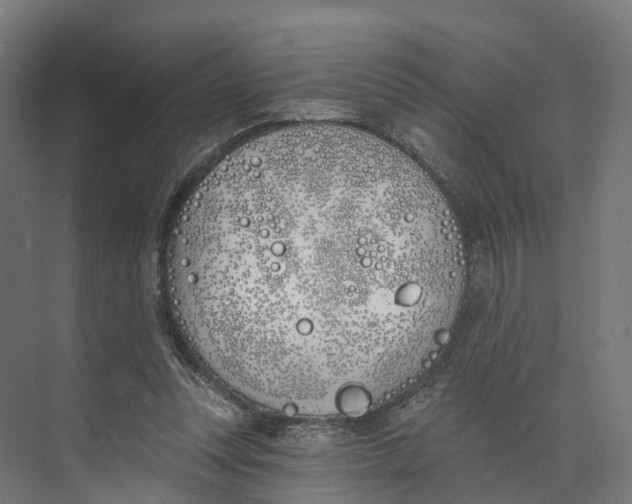 X0000073970351200609111748