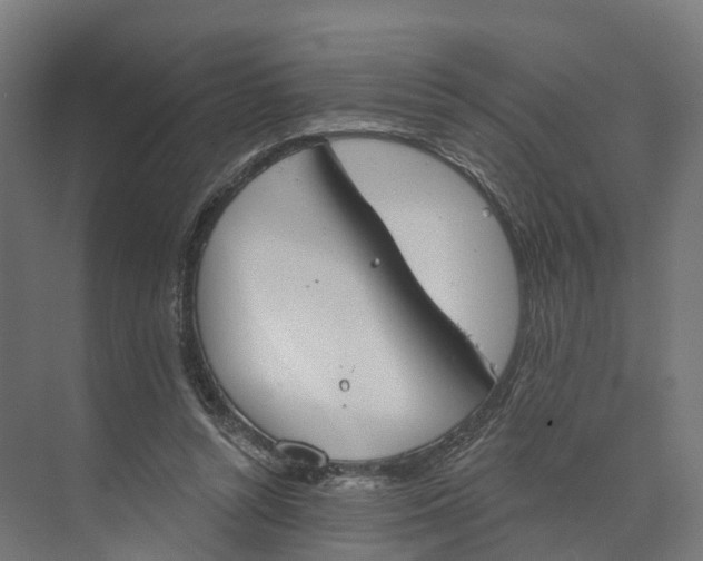 X0000073970352200609111748