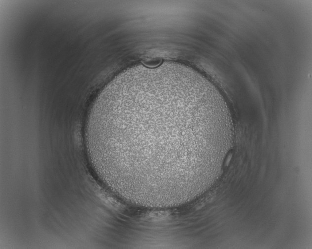 X0000073970353200609111748