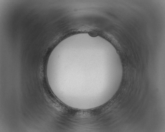 X0000073970354200609111748