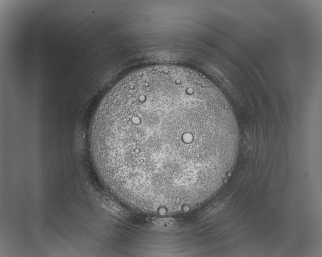 X0000073970355200609111748