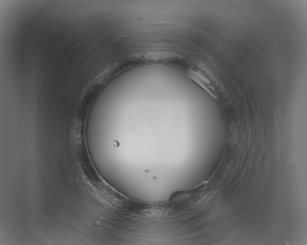 X0000073970356200609111748