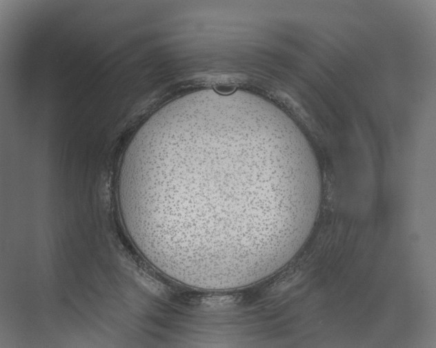 X0000073970357200609111748