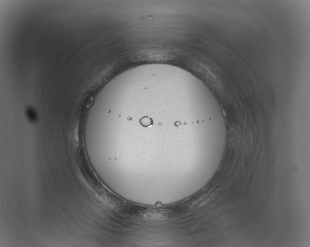 X0000073970358200609111748