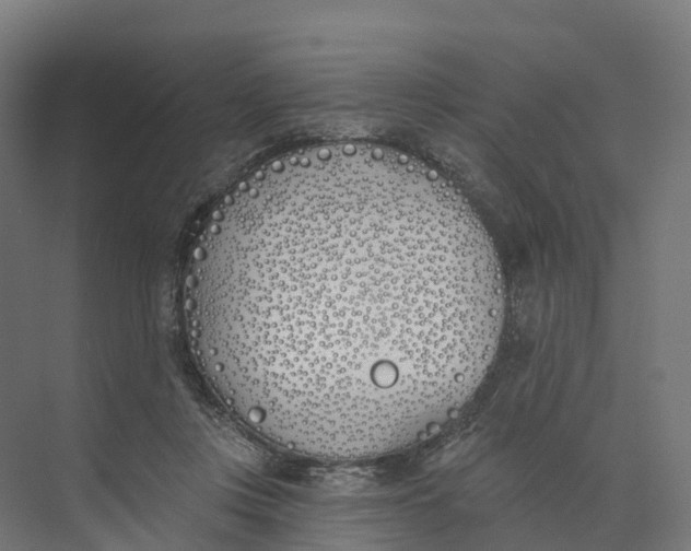 X0000073970359200609111748