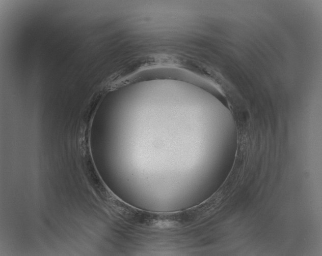 X0000073970360200609111748