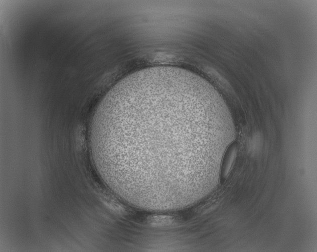 X0000073970361200609111748