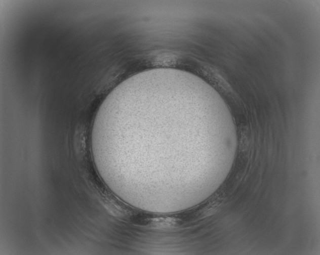 X0000073970363200609111748