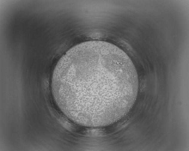 X0000073970365200609111748