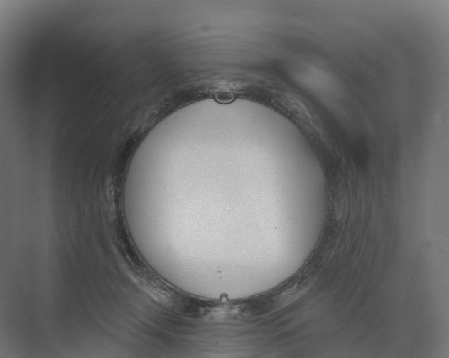 X0000073970366200609111748