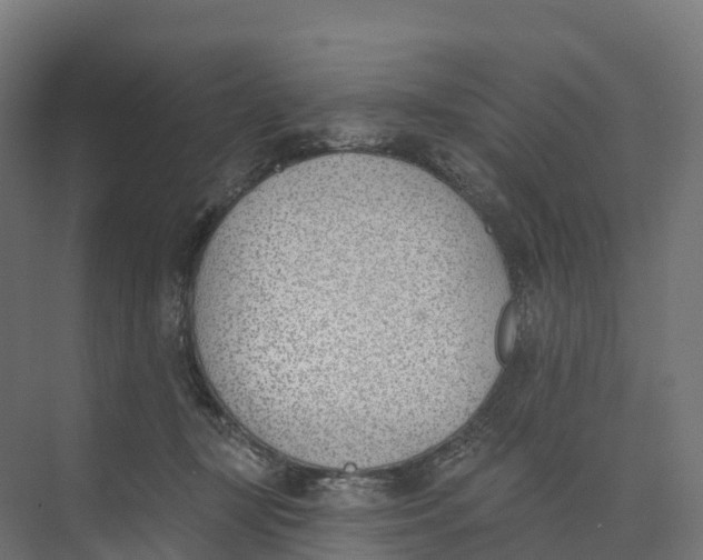 X0000073970367200609111748