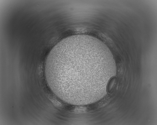 X0000073970369200609111748