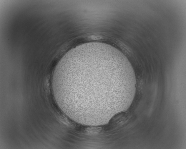 X0000073970373200609111748