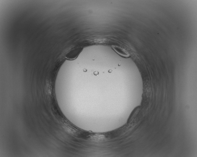 X0000073970374200609111748