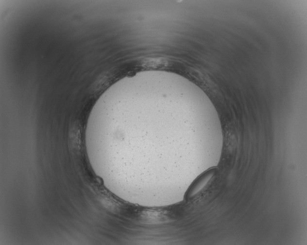 X0000073970375200609111748