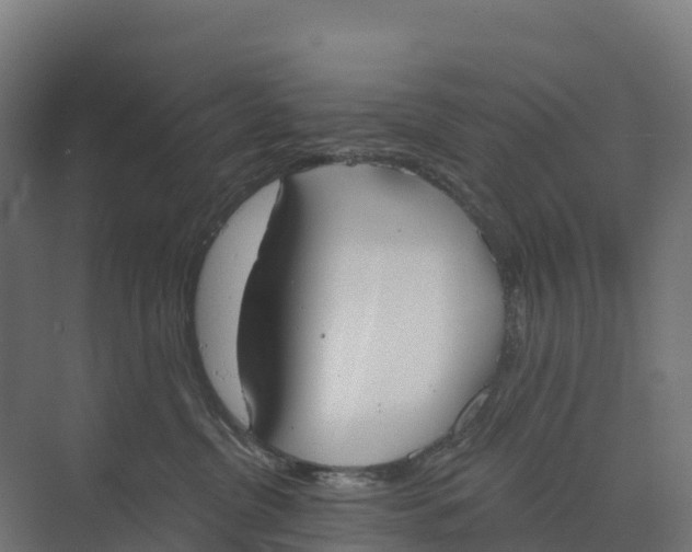 X0000073970380200609111748