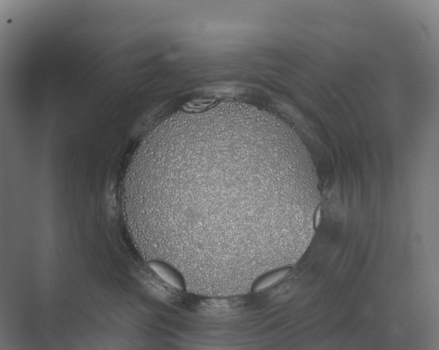 X0000073970381200609111748