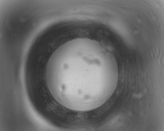 X0000073970383200609111748