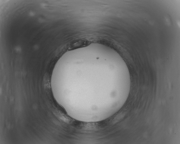 X0000073970384200609111748