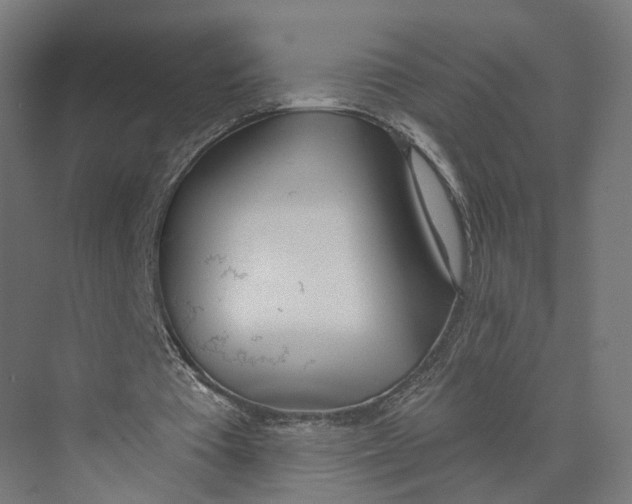 X0000073970385200609111747