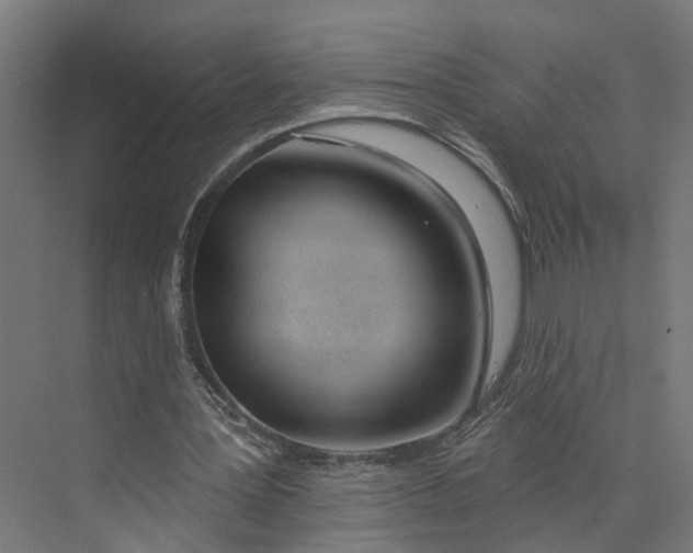 X0000073970387200609111747