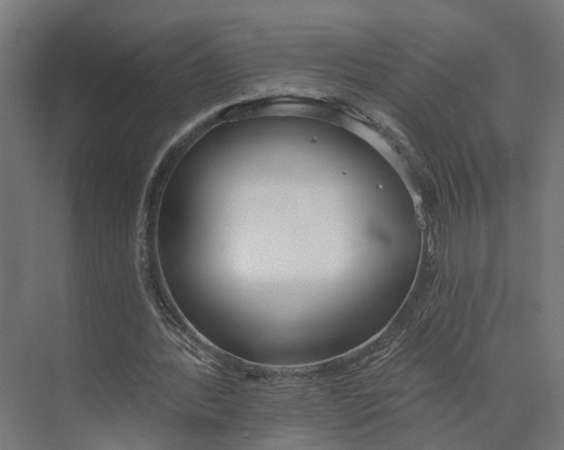 X0000073970388200609111747