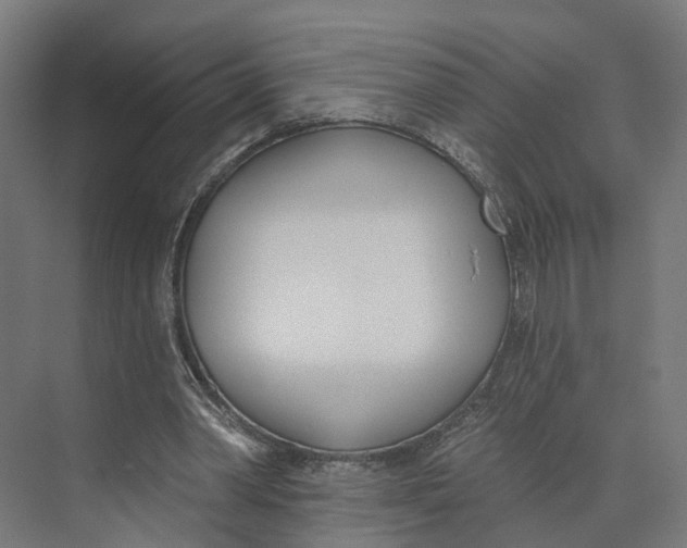 X0000073970390200609111747