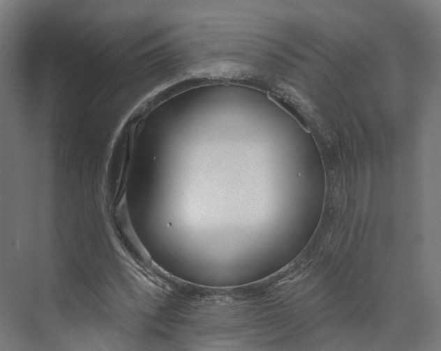 X0000073970392200609111747