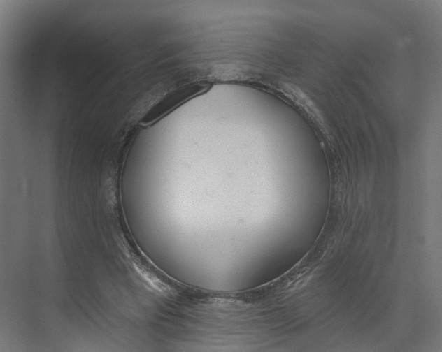 X0000073970393200609111747