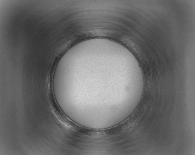 X0000073970398200609111747