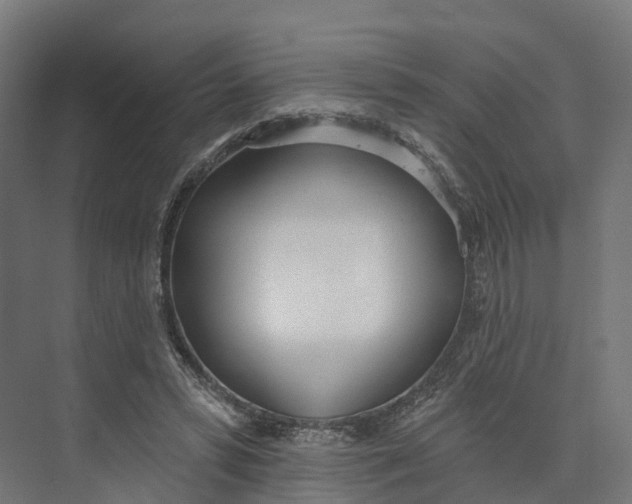 X0000073970399200609111747