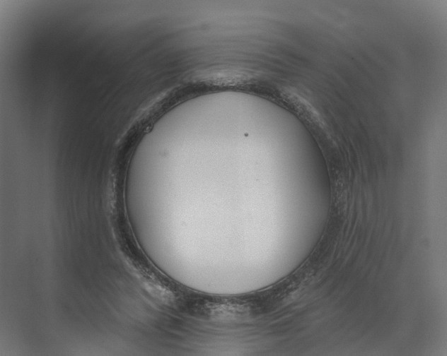 X0000073970400200609111747