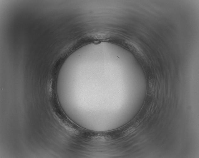 X0000073970404200609111747